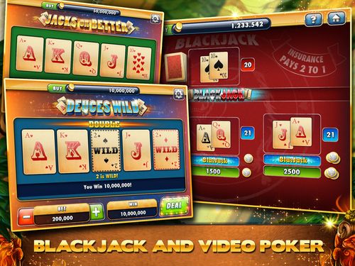 22win online casino